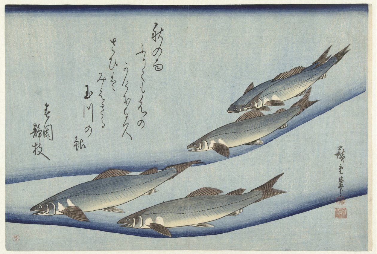 Pstruh od Hiroshige (I) , Utagawa
