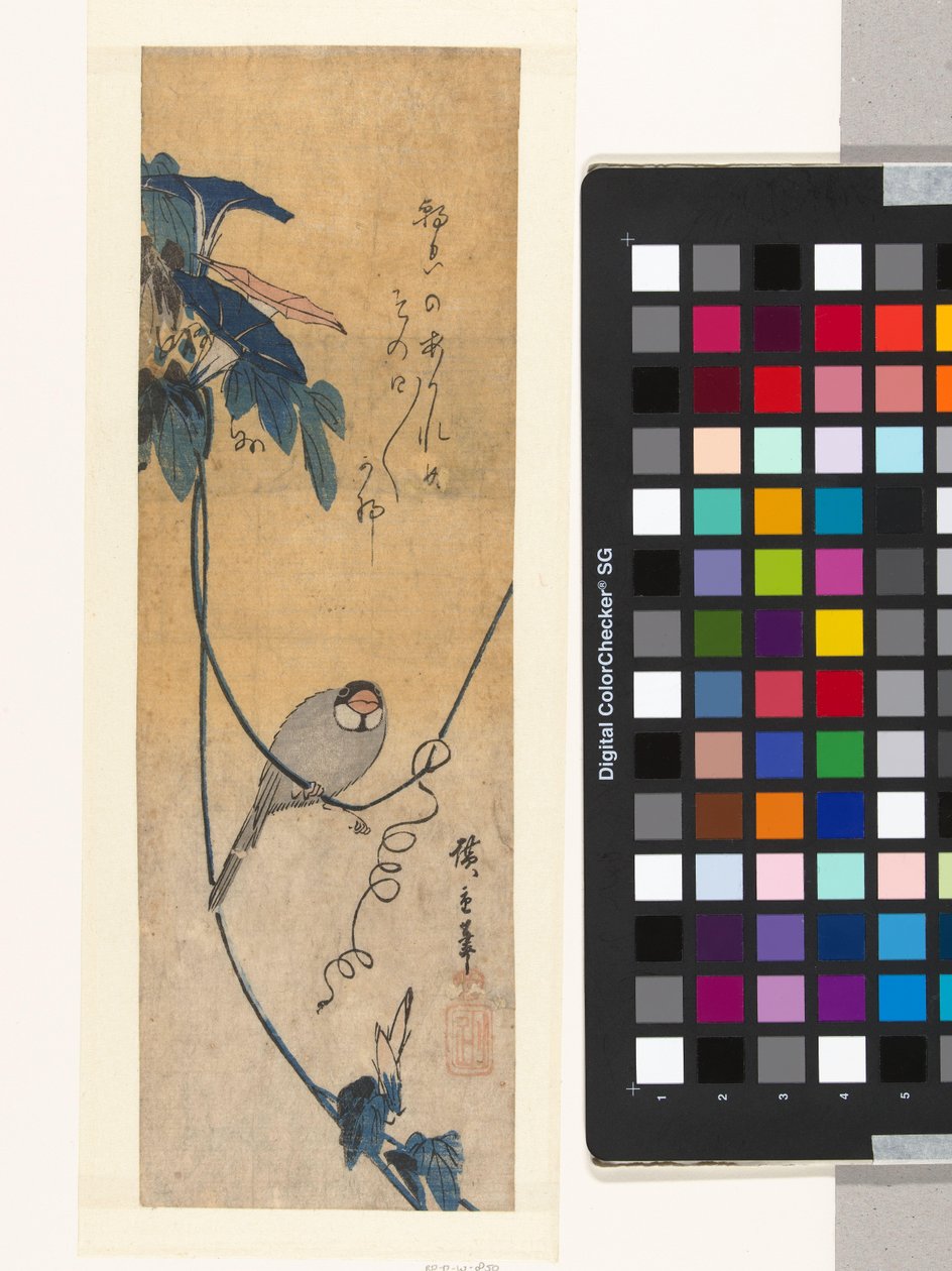 Pták a modrá svlačec od Hiroshige (I) , Utagawa