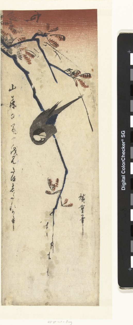 Pták a vistárie od Hiroshige (I) , Utagawa