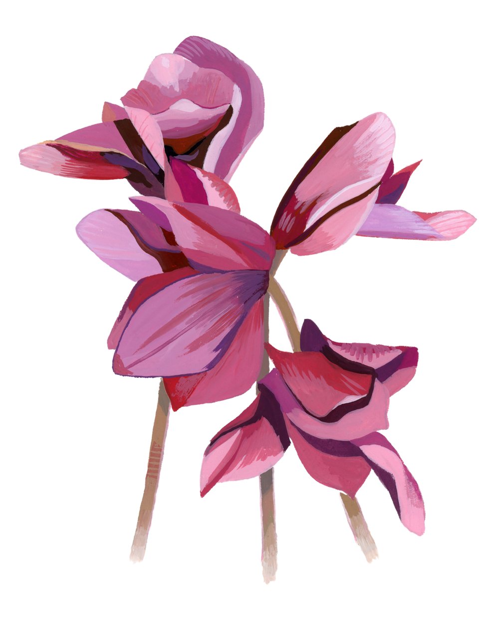 Cyclamen od Hiroyuki Izutsu