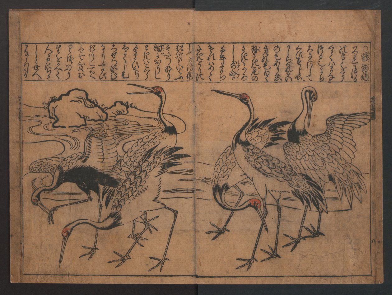 Illustrationen von Vögeln und Blumen (Kachō e-zukushi) od Hishikawa Moronobu