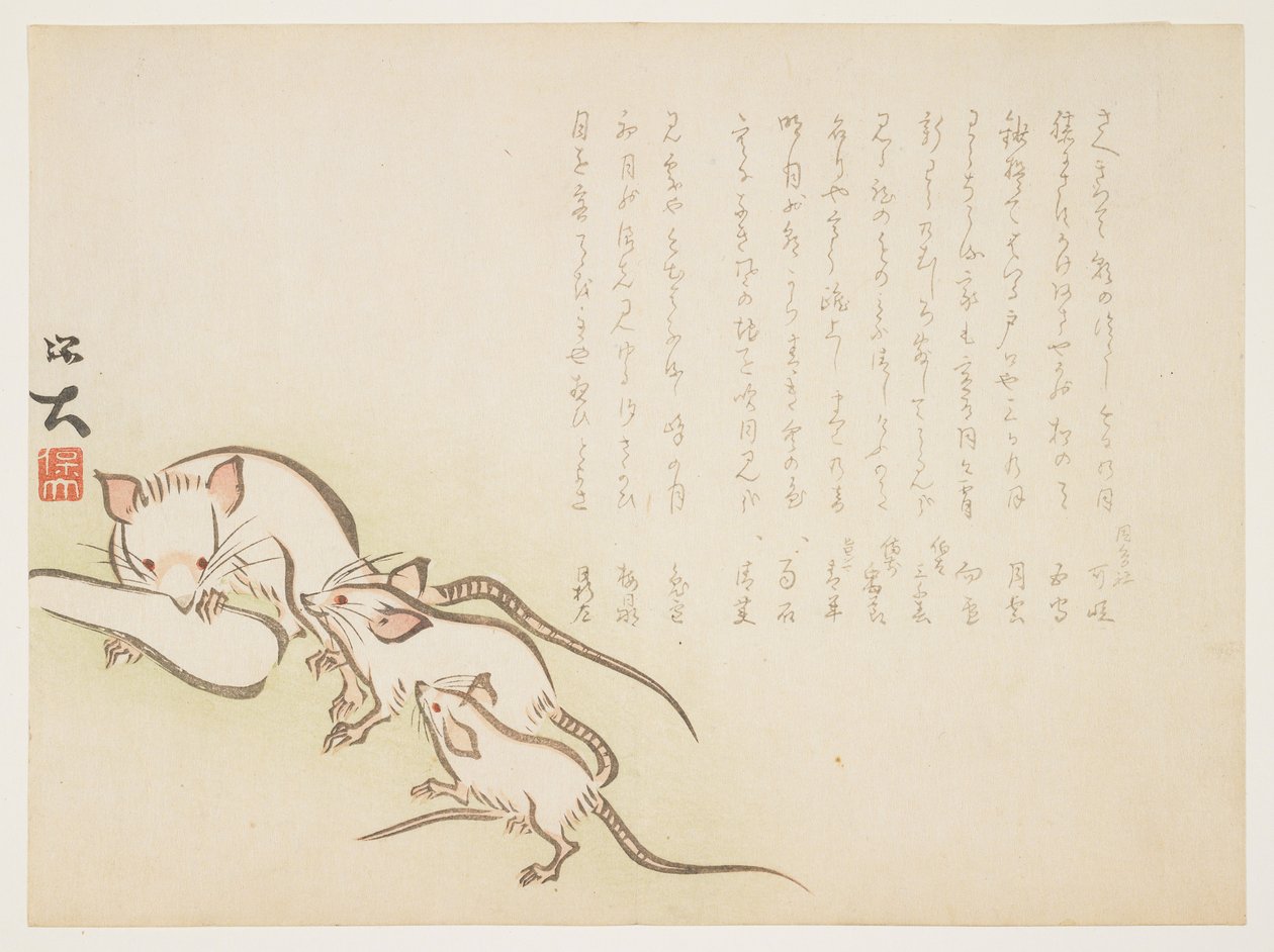 (Bílé myši), leden 1864 od Hodai