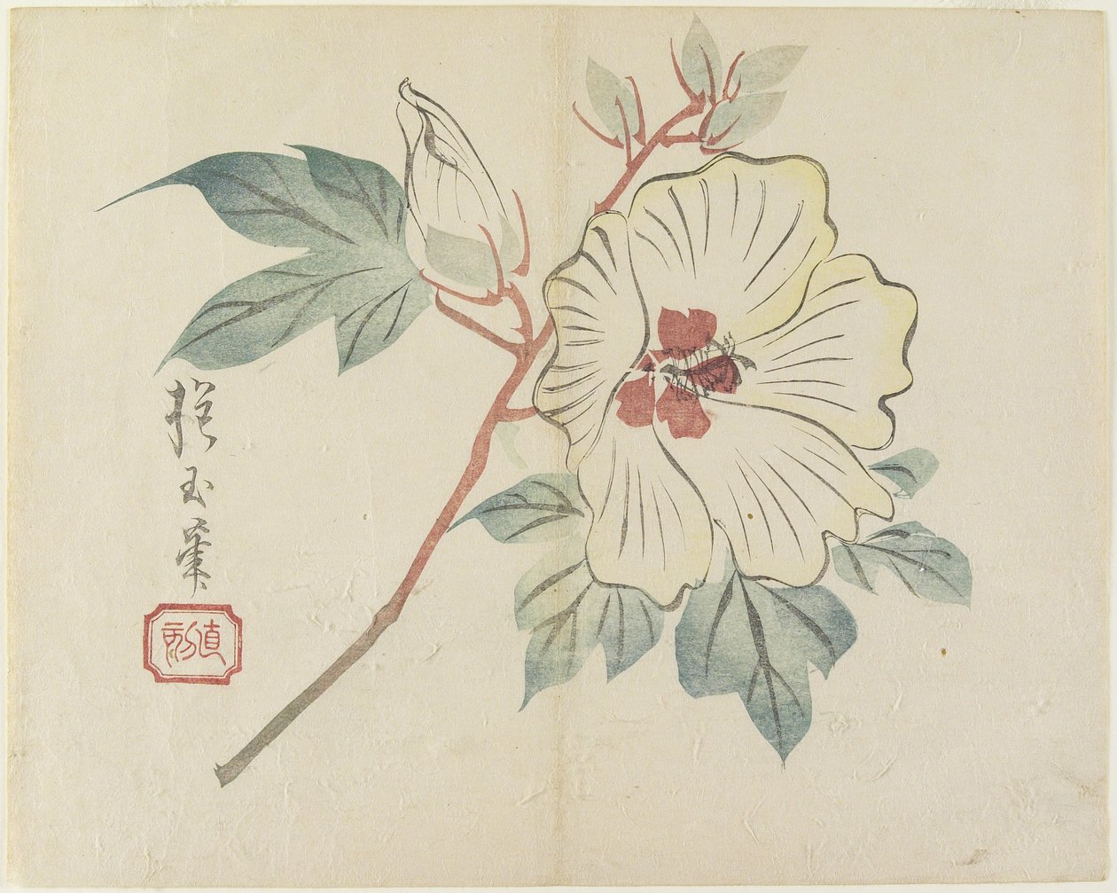 (Velký bílý květ), cca 1830 od Hogyoku