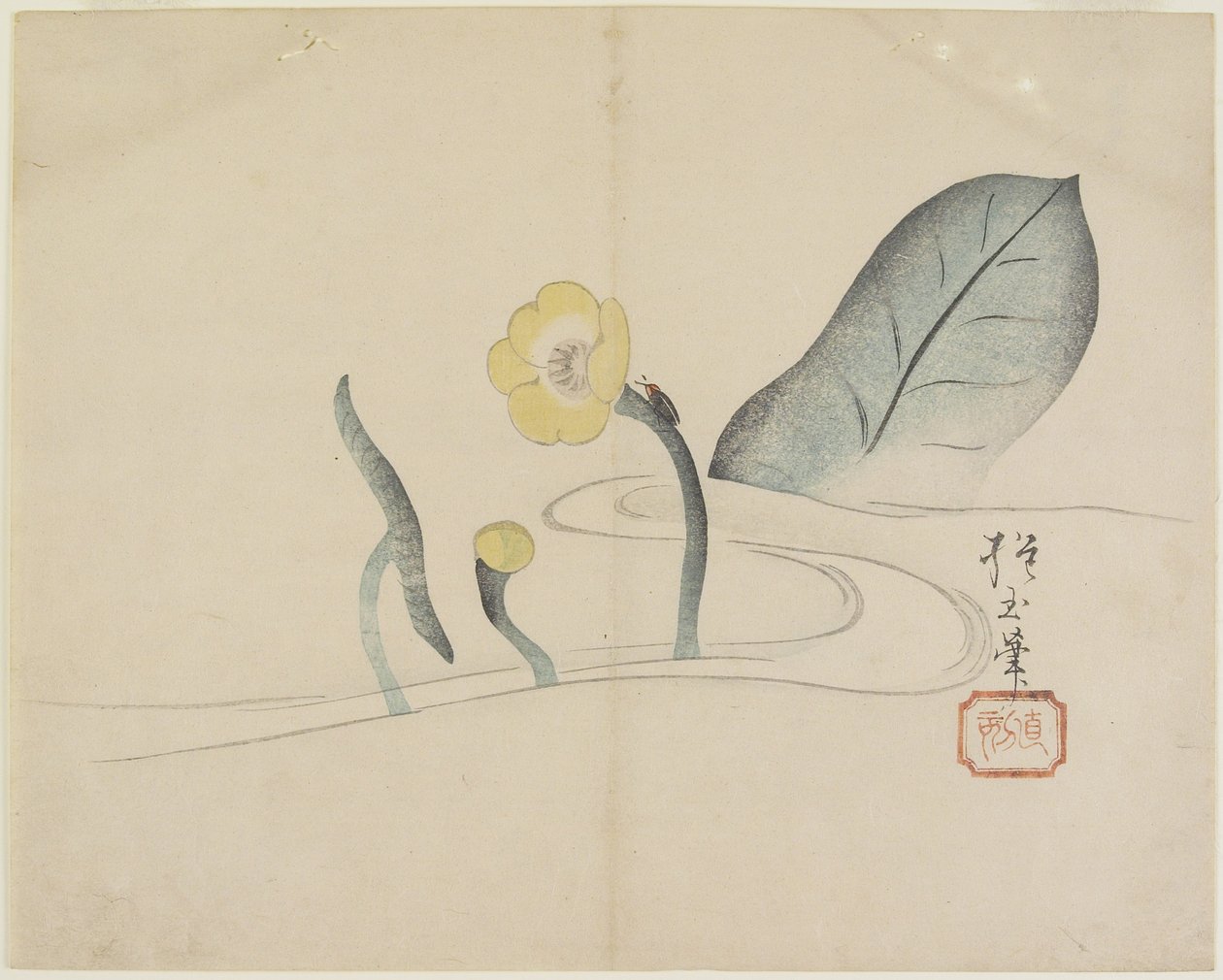 (Lotus and a Gold Bug), c. 1830 od Hogyoku