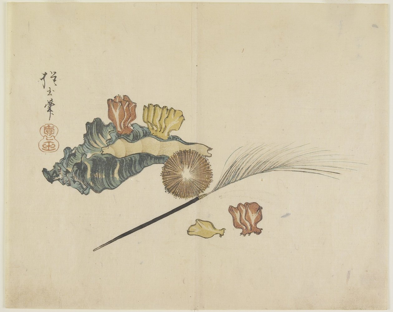 (Mušle), cca 1830 od Hogyoku