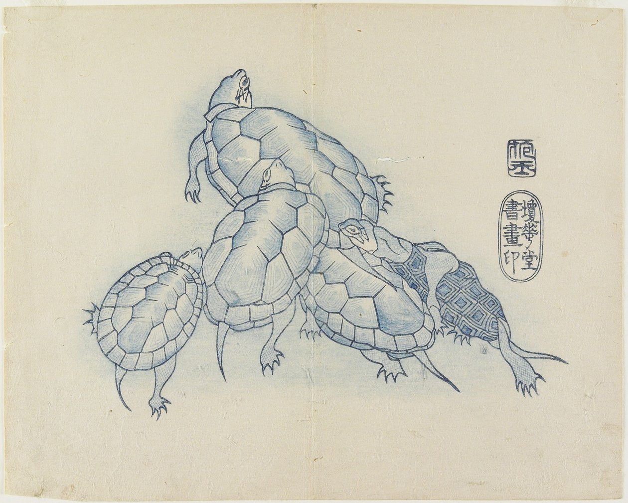 (Želvy), c. 1830 od Hogyoku