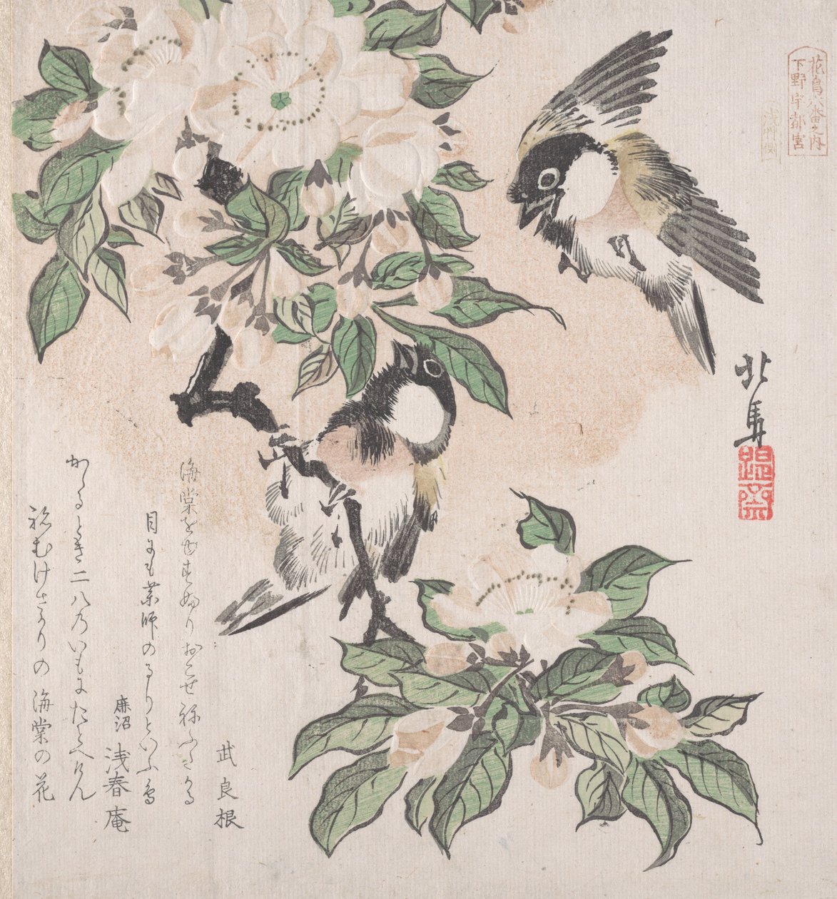 Spring Rain Collection Harusame shu, sv. 3: Sýkorky bahenní a květy krabího jablka, ca. ..., ca. 1820. od Hokuba