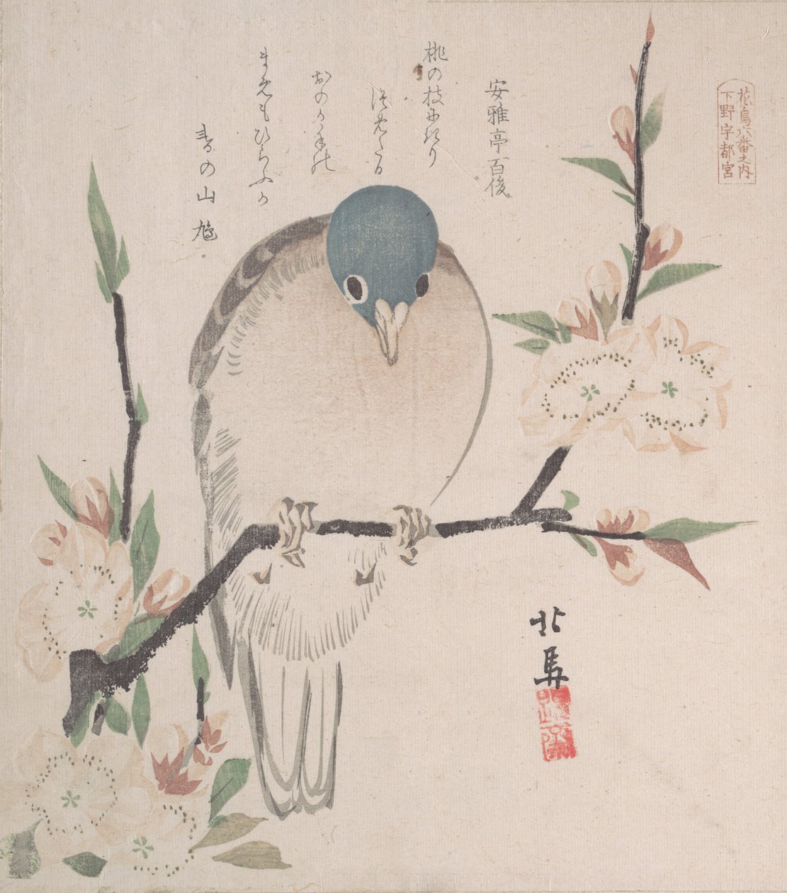 Spring Rain Collection Harusame shu, sv. 3: Mountain Dove and Peach Flowers, ca. 1820, ca. 1820. od Hokuba