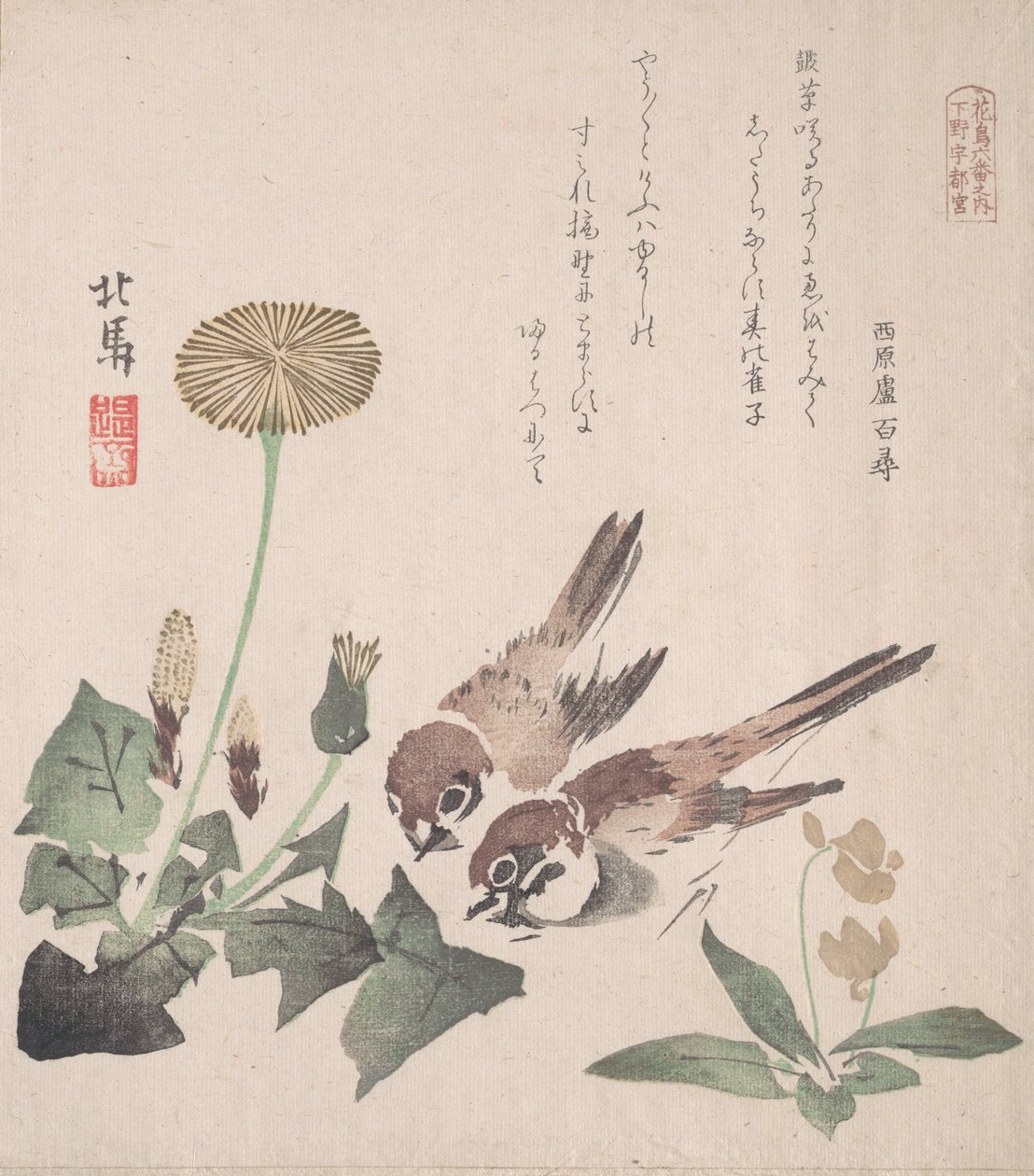 Spring Rain Collection Harusame shu, sv. 3: Vrabci a pampelišky, ca. 1820, ca. 1820. od Hokuba