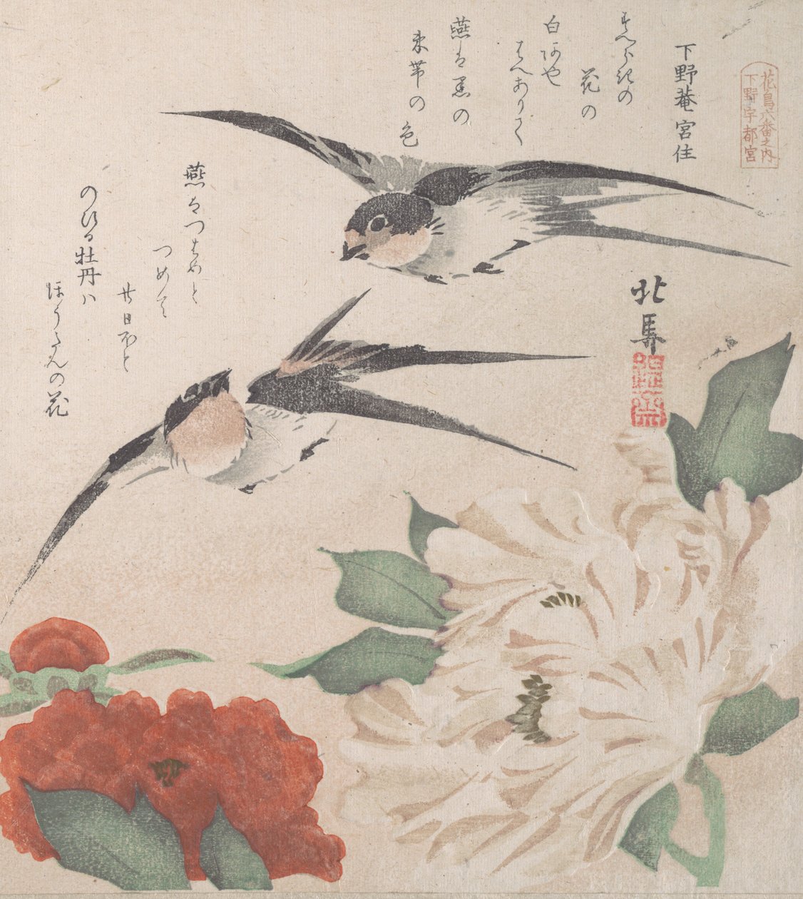 Spring Rain Collection Harusame shu, sv. 3: Vlaštovky a pivoňky, ca. 1820, ca. 1820. od Hokuba
