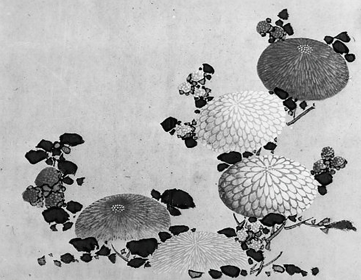 Chryzantémy, 19. století. od Hokusai School.
