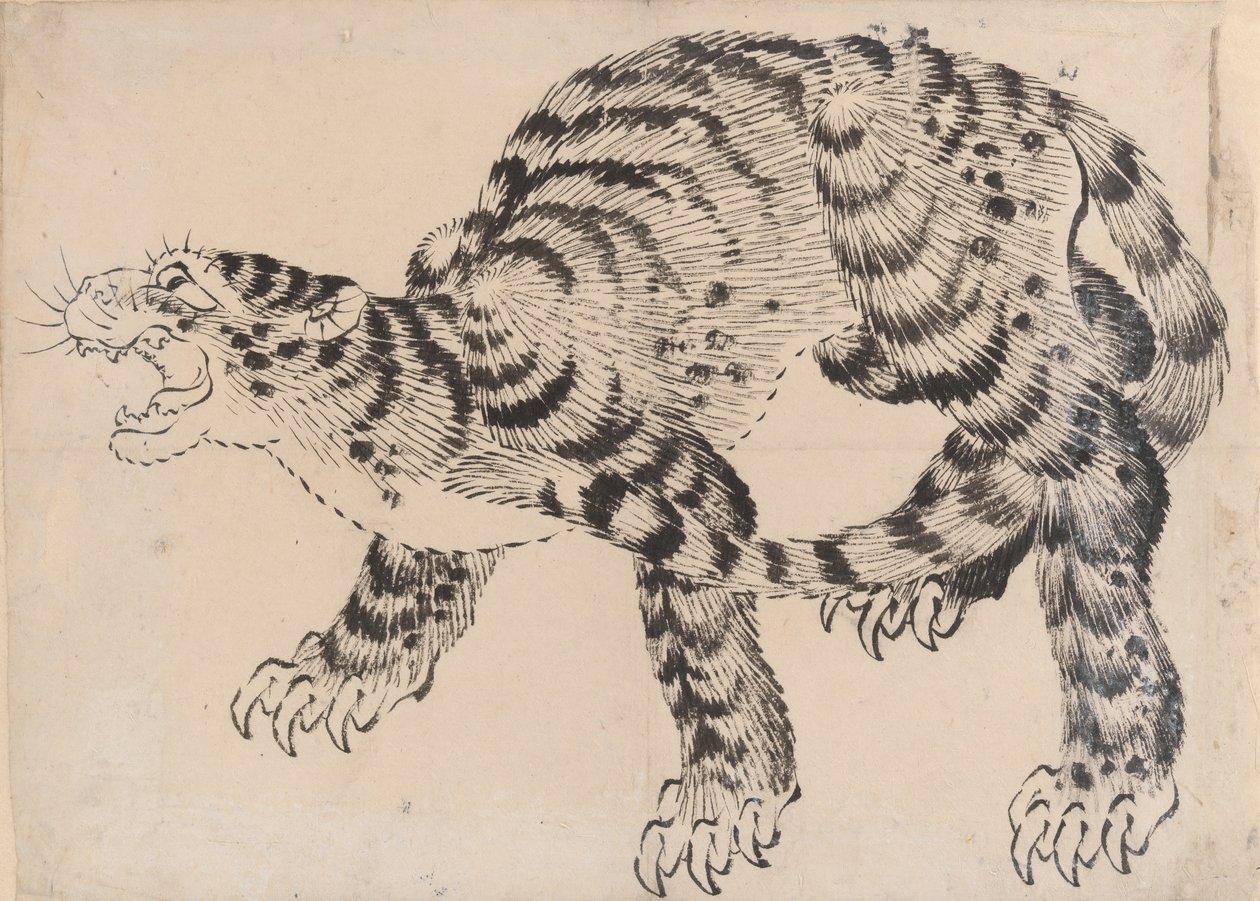 Tygr, 19. století. od Hokusai School.