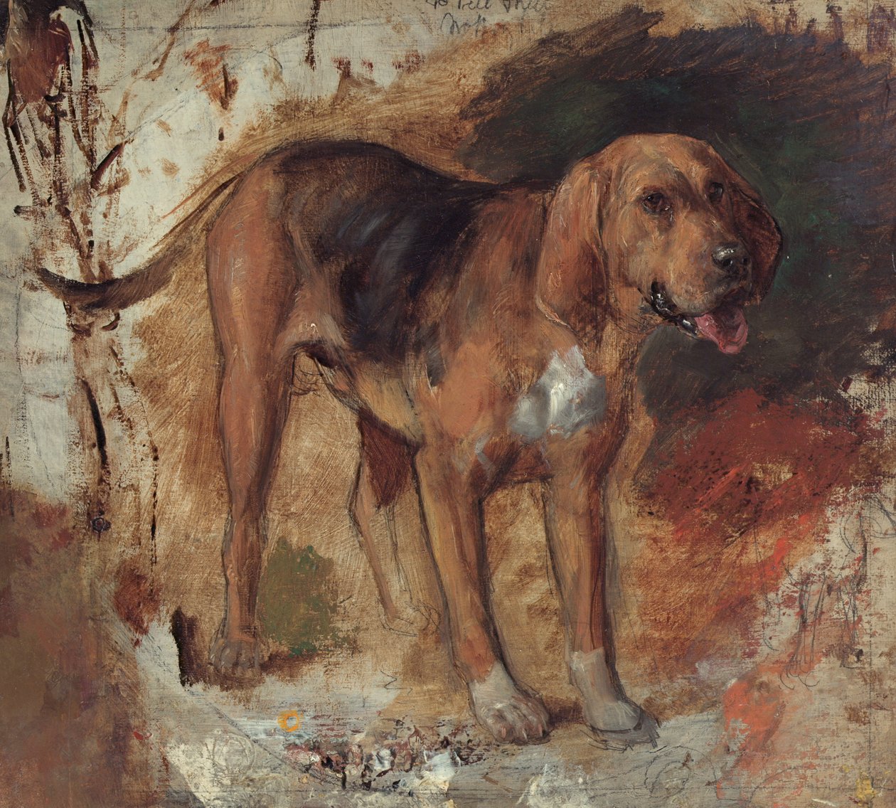 Studium bloodhounda od William Holman Hunt