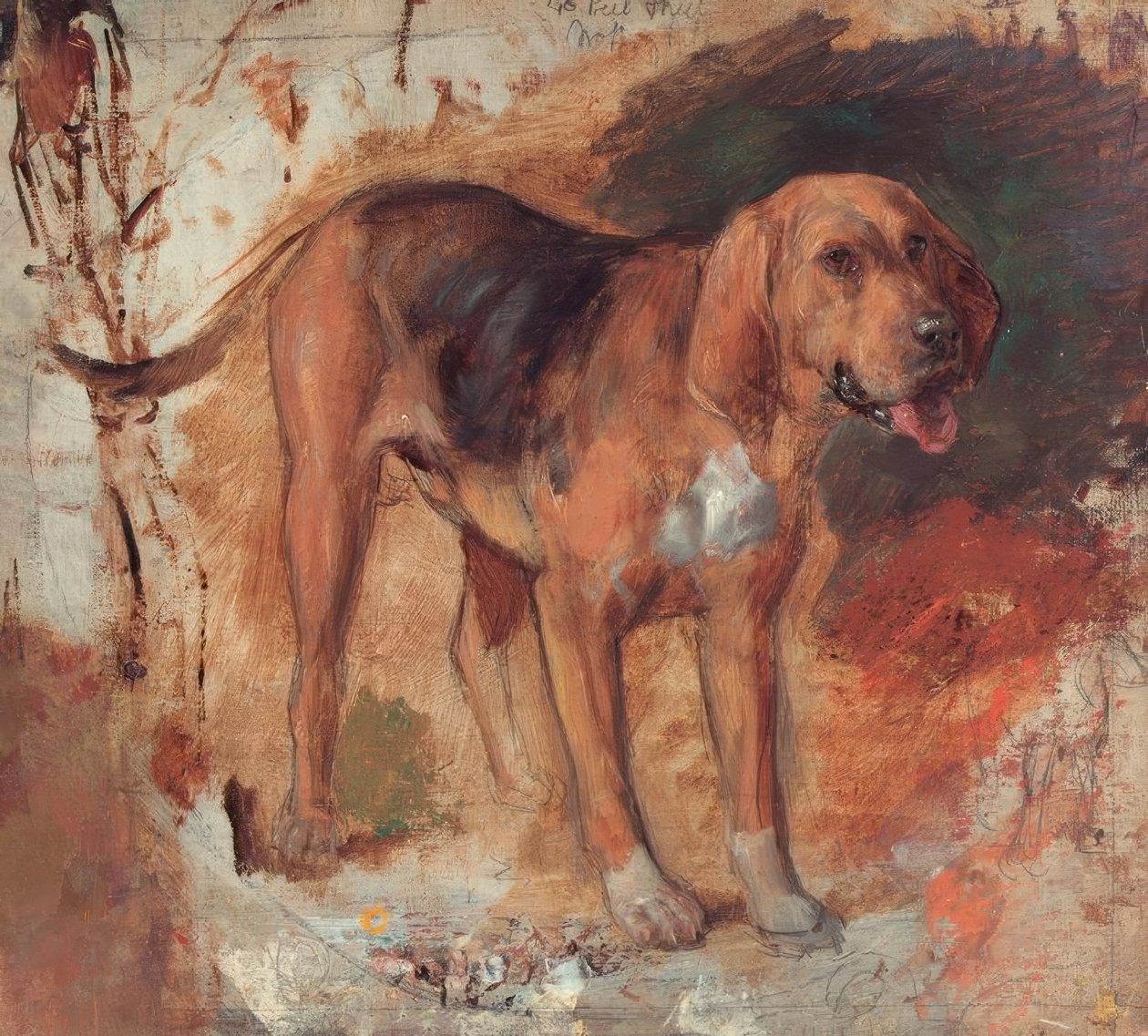 H. Hunt, Studie Bloodhounda od Holman Hunt