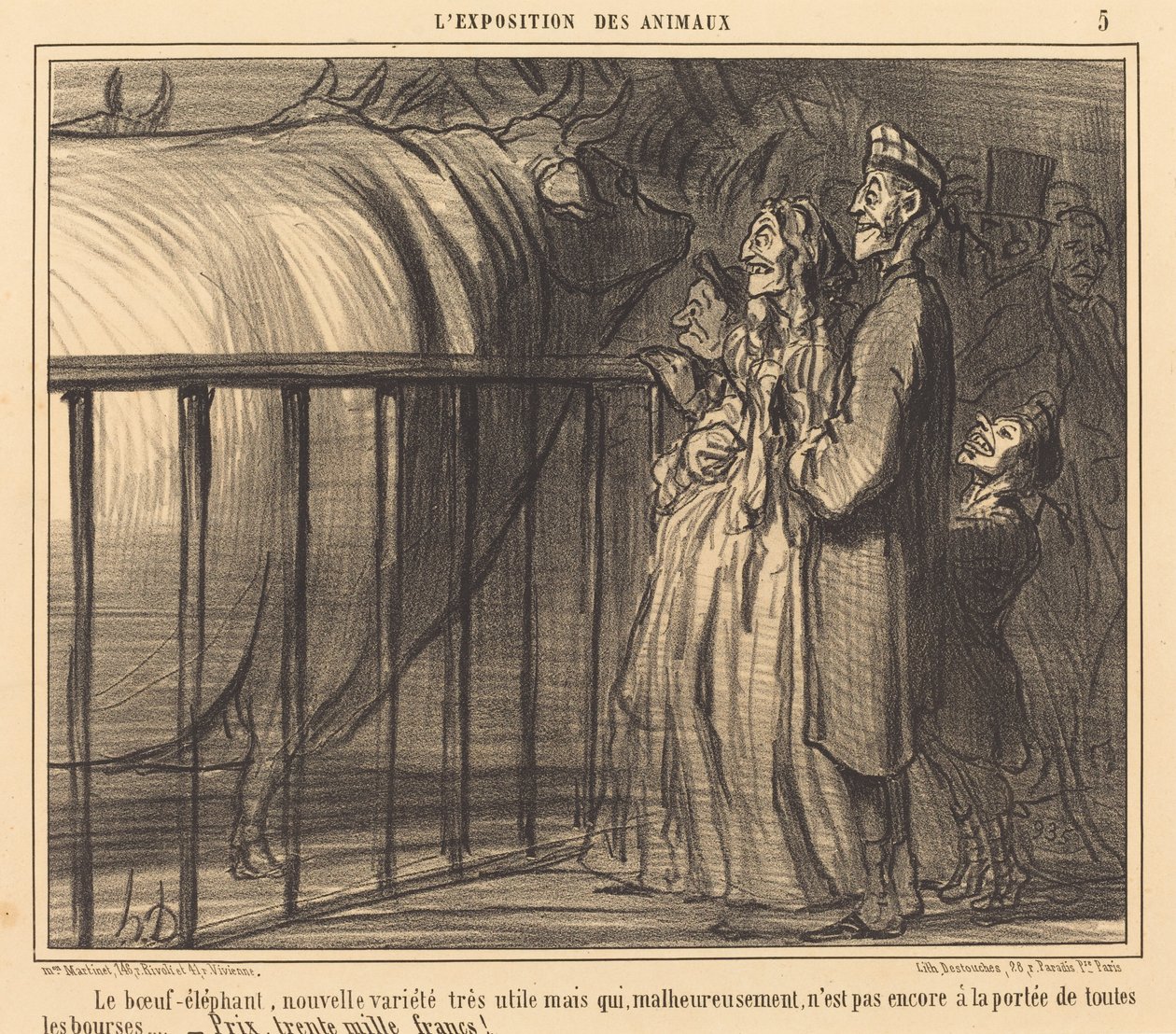 Nová odrůda Sloní hovězí od Honoré Daumier
