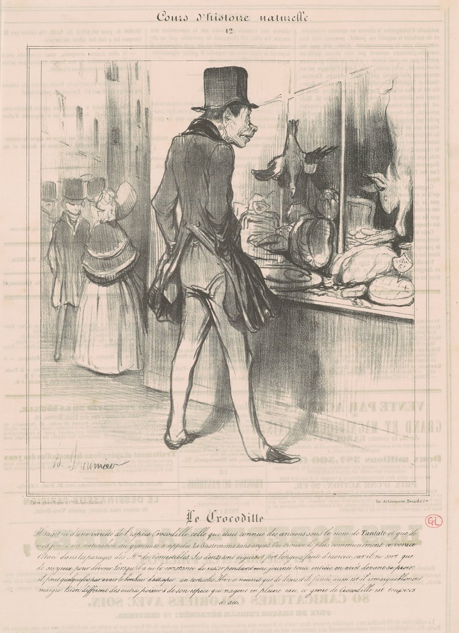 Krokodýl od Honoré Daumier