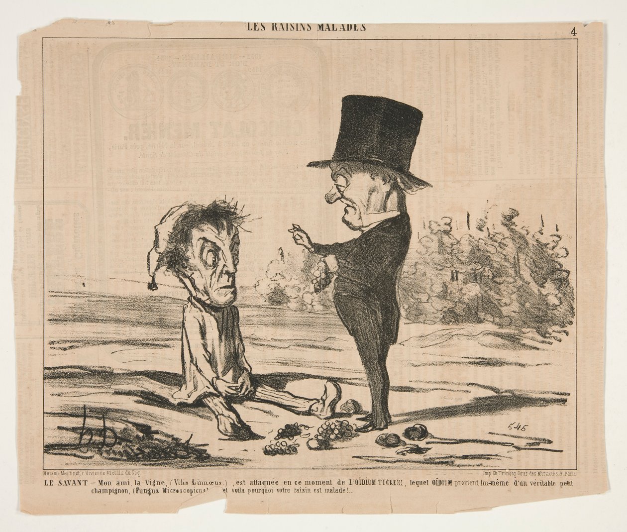 The Scholar - Můj přítel, Vine, (Vitis Linnaeus.), je v tuto chvíli pod útokem od Honoré Daumier