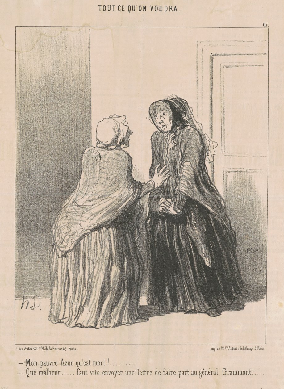 Můj ubohý jestřáb, který je mrtvý! ... od Honoré Daumier