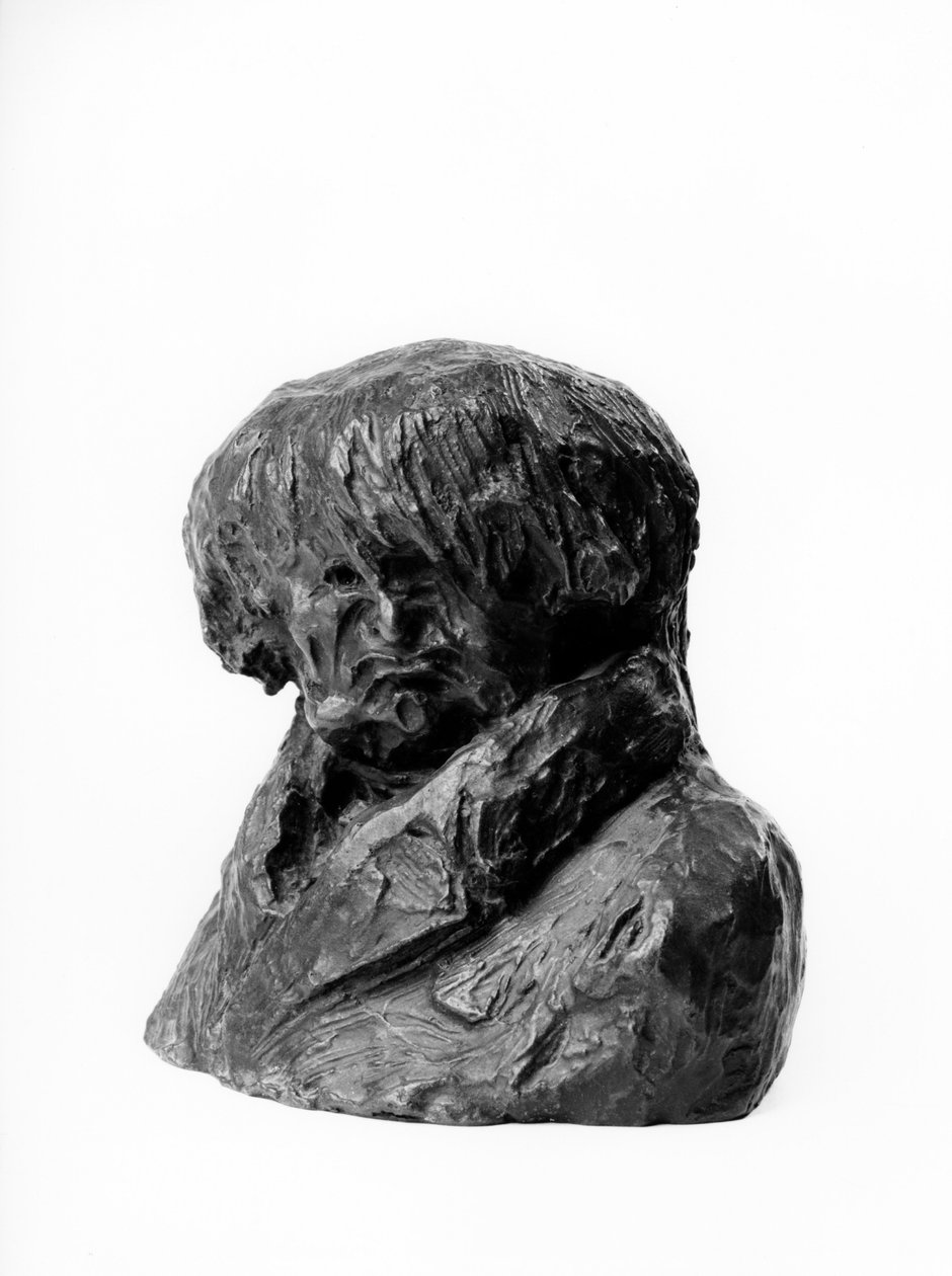 Spousta bust "" Celebrites du Juste Milieu" "" Karikatura Clementa Prunelleho (1777-1853), lékaře, zástupce a starosty Lyonu"" Socha Honore Daumiera (1808-1879) 19. století. Rozměr v cm V 13 x L 15 Inv RF 263 Musee des Beaux Arts, Palais Long od Honoré Daumier