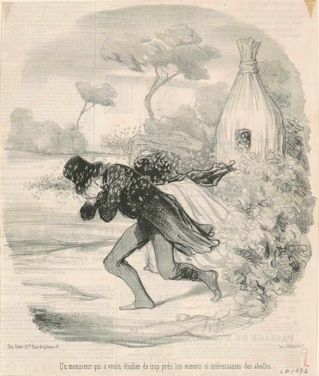 Gentleman, který chtěl studovat... zvyky... včel od Honoré Daumier