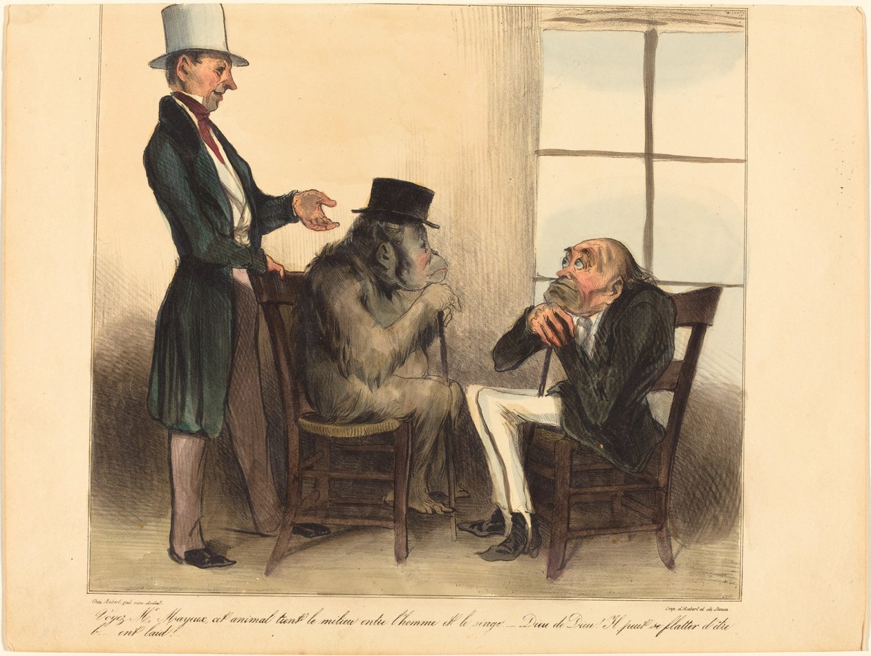 Podívejte, pane Mayeuxi, to zvíře... od Honoré Daumier