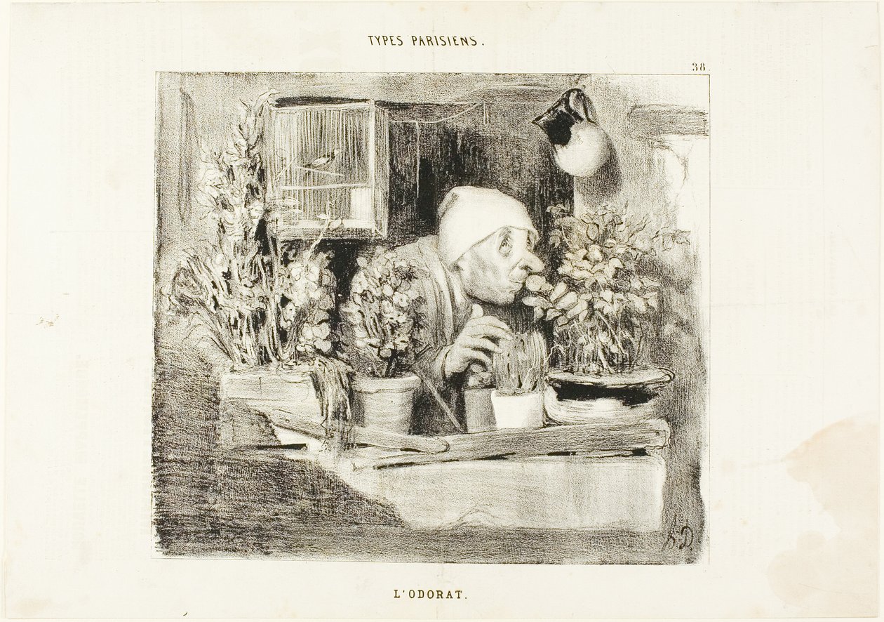 Vůně, deska 38 z knihy Types Parisiens od Honoré Victorin Daumier