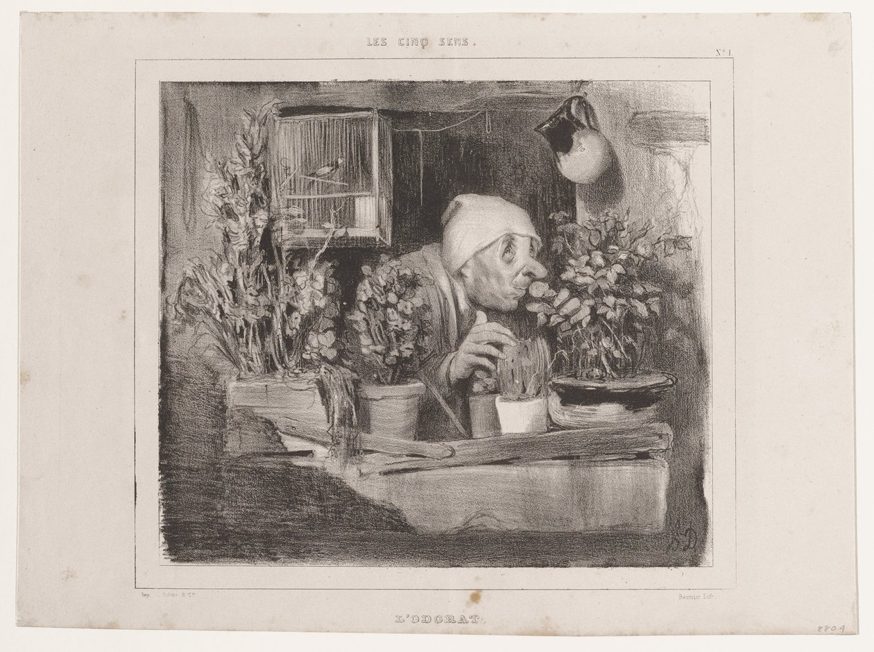 Čich (Pět smyslů), z La Caricature od Honoré Daumier