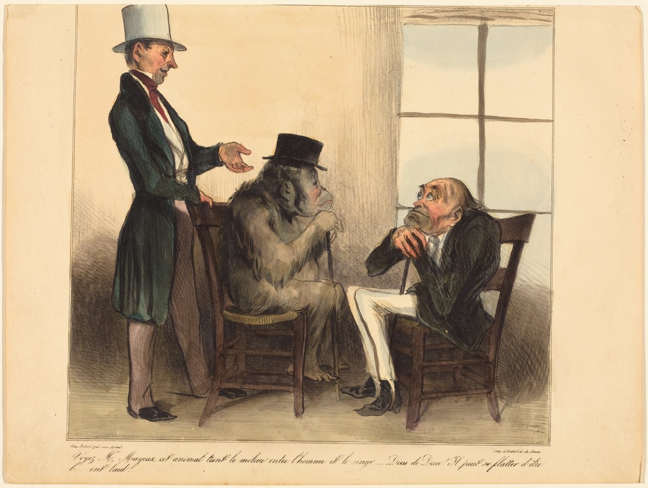 Podívejte, pane Mayeuxi, na toto zvíře... od Honoré Daumier