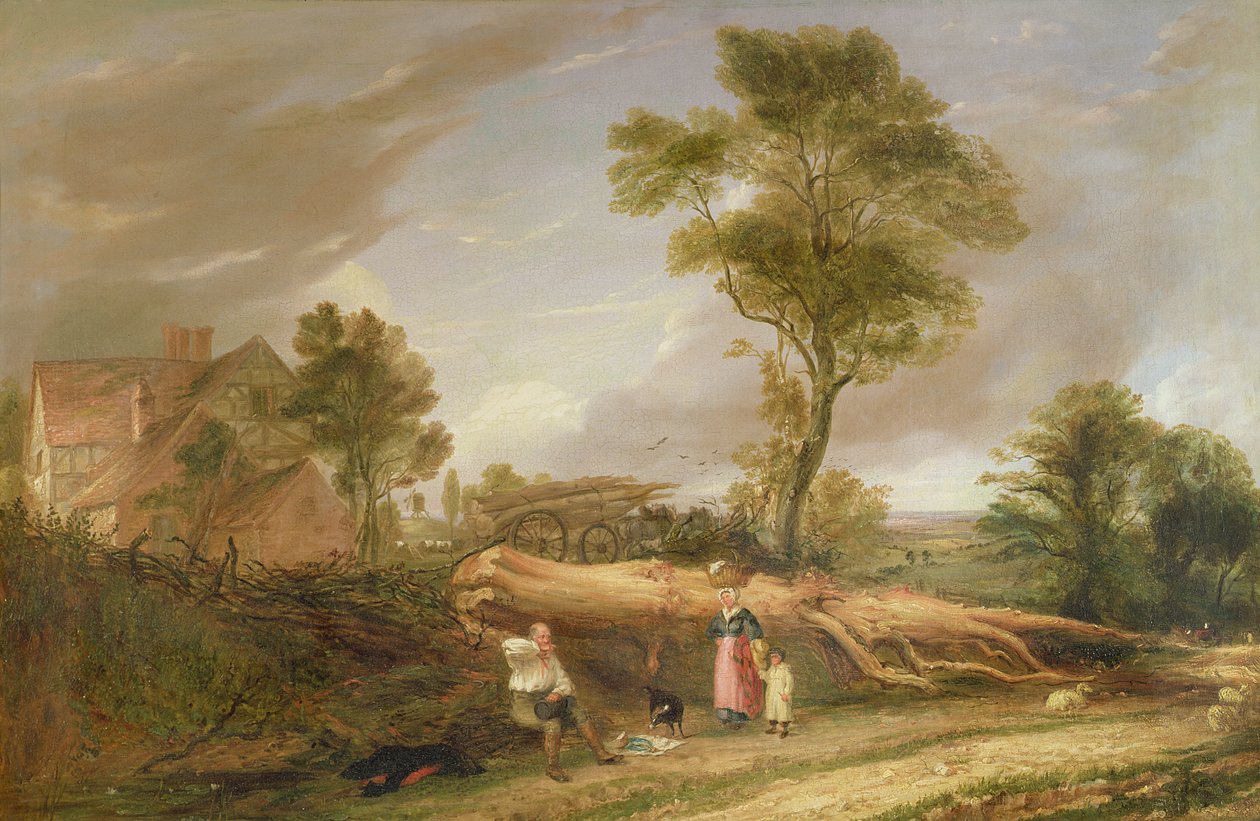 Dřevařův oběd od Hopkins Horsley Hobday Horsley