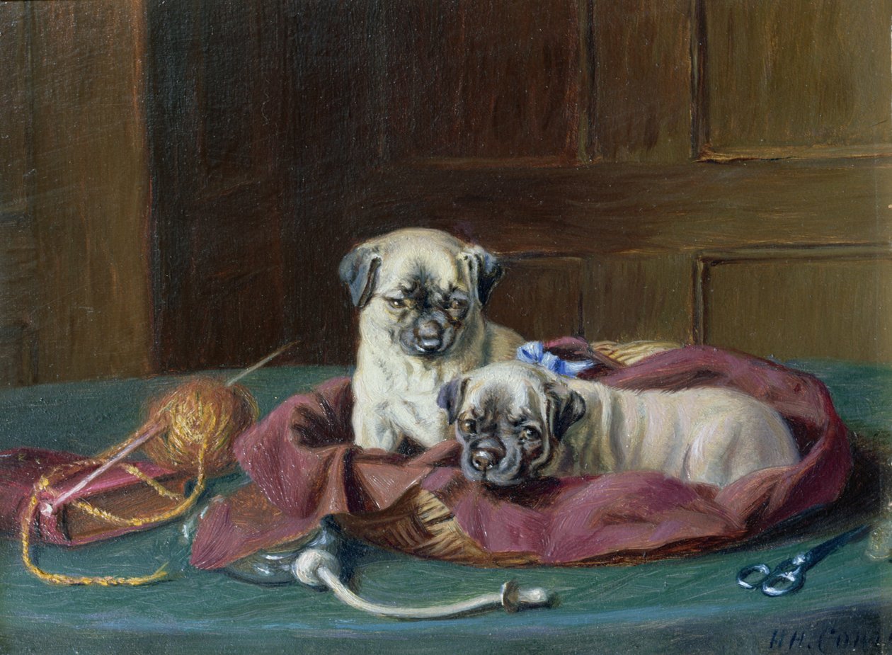 Štěňata mopse v košíku (panel) od Horatio Henry Couldery