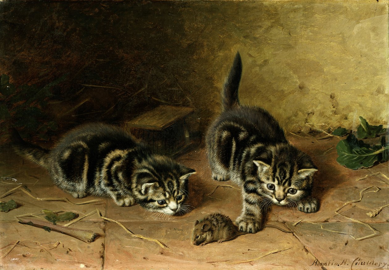 Neochotný spoluhráč od Horatio Henry Couldery