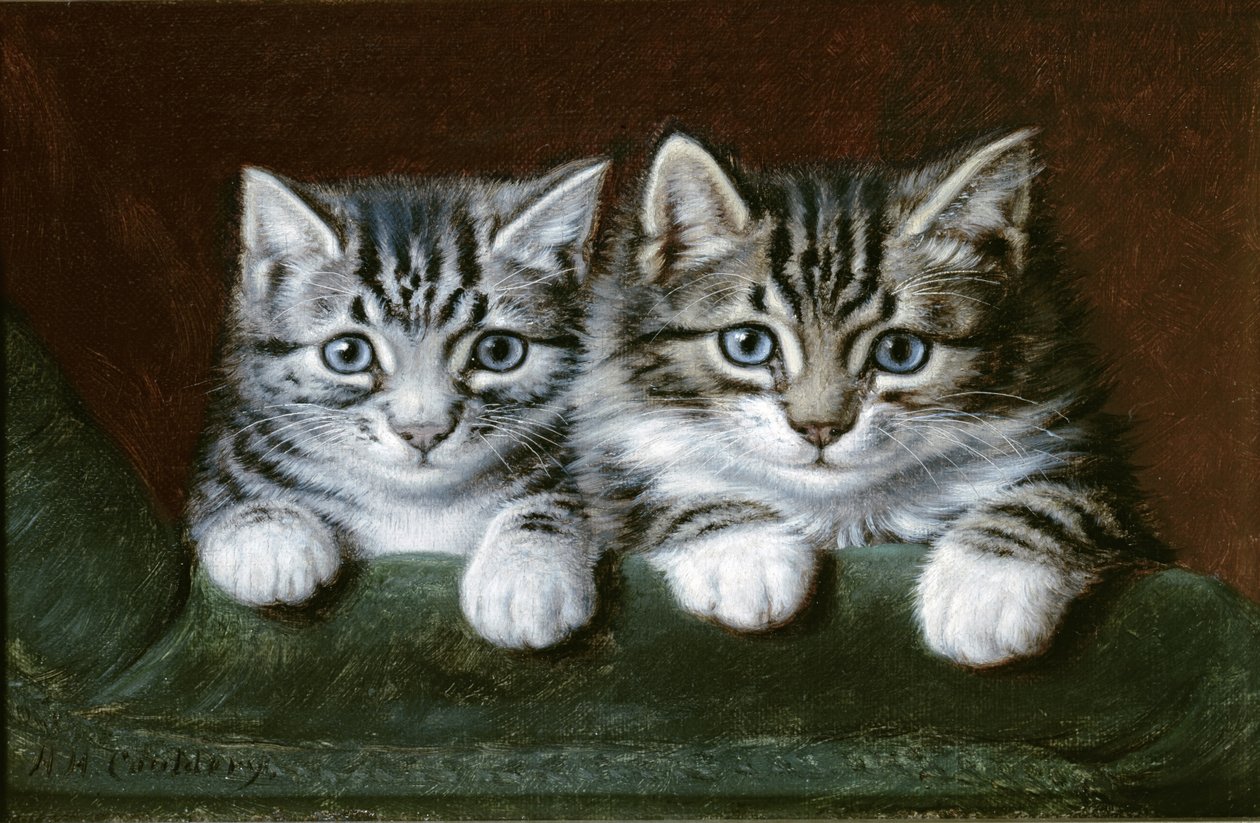 Dvě mourovatá koťátka (olej na plátně) od Horatio Henry Couldery