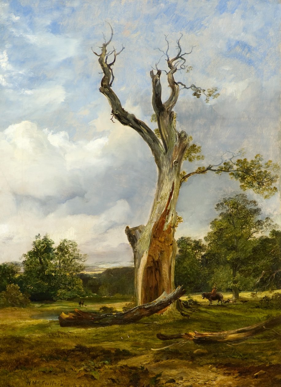 The Blasted Tree, kolem roku 1838 (olej na plátně) od Horatio McCulloch