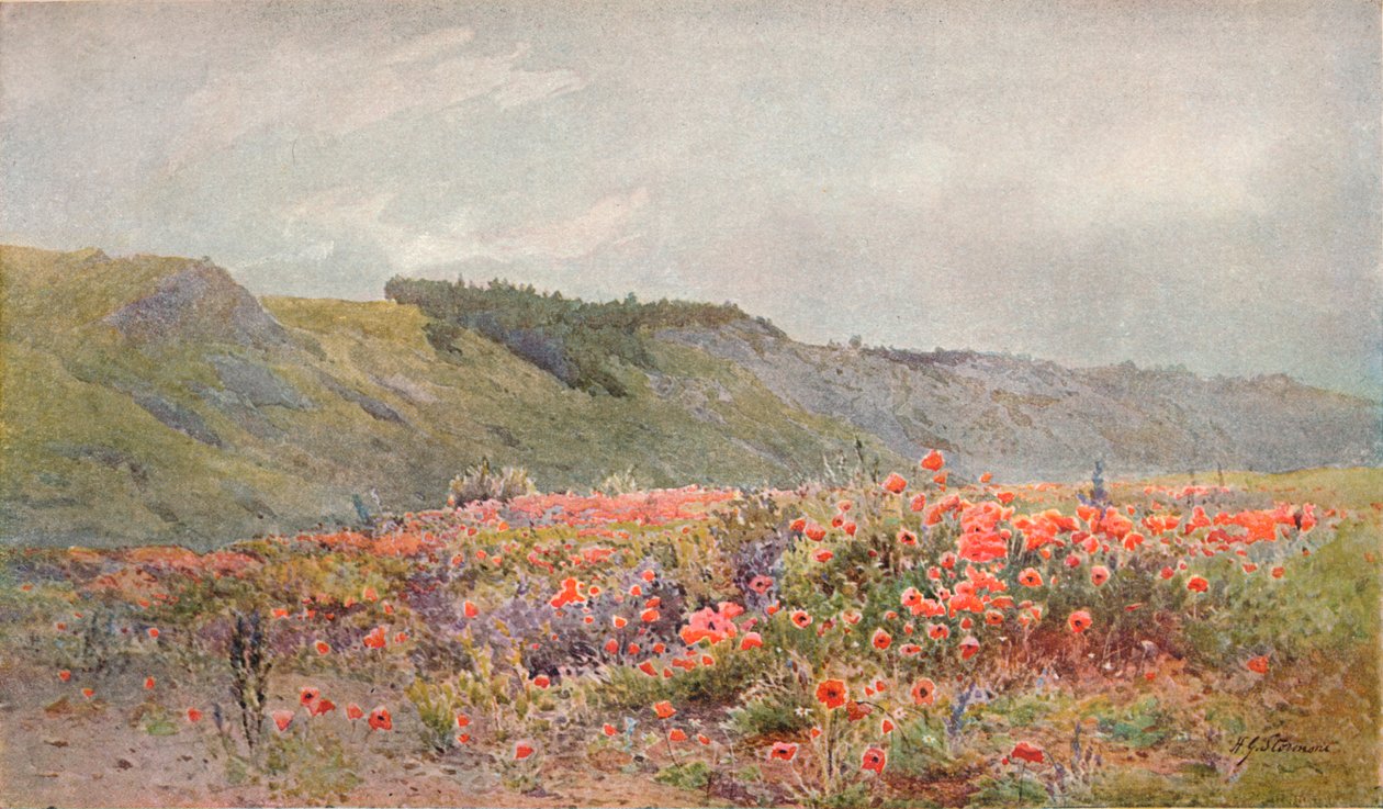 Údolí máků, c1879-1903, 1903 od Howard Gull Stormont