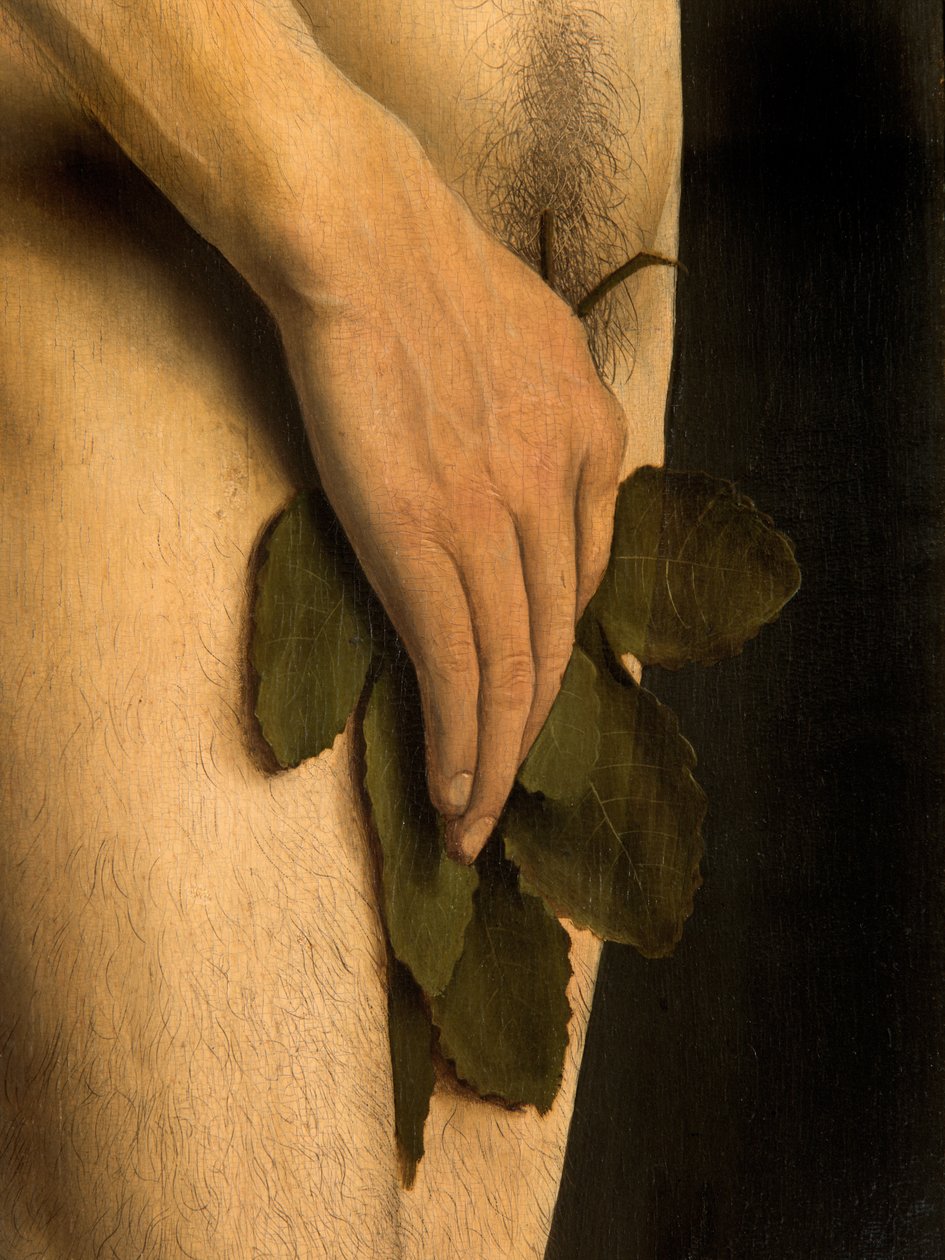 Detail Adama, z levého křídla Gentského oltáře od Hubert & Jan van (1390-1441) Eyck