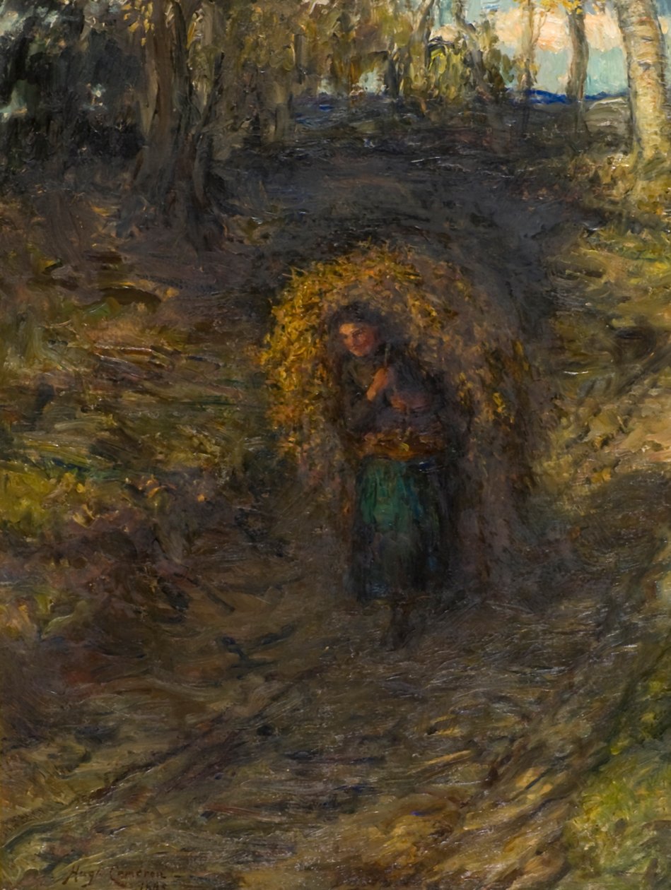 Fern sběrač od Hugh Cameron