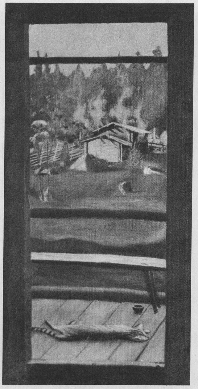 Koupaliště - sauna - je vytápěná. Popis podle zdrojů od Hugo Simberg