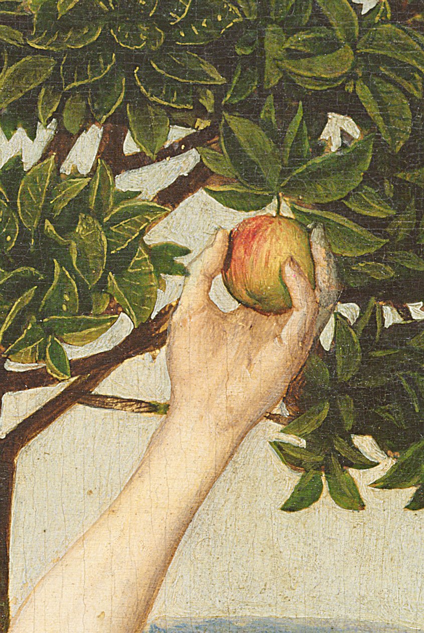 The Fall, po 1479 olej na panelu detail 13000 od Hugo van der Goes