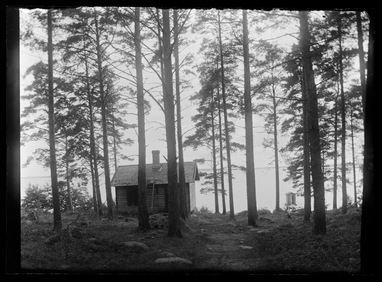 Sauna v Selkärantě od Hugo Simberg