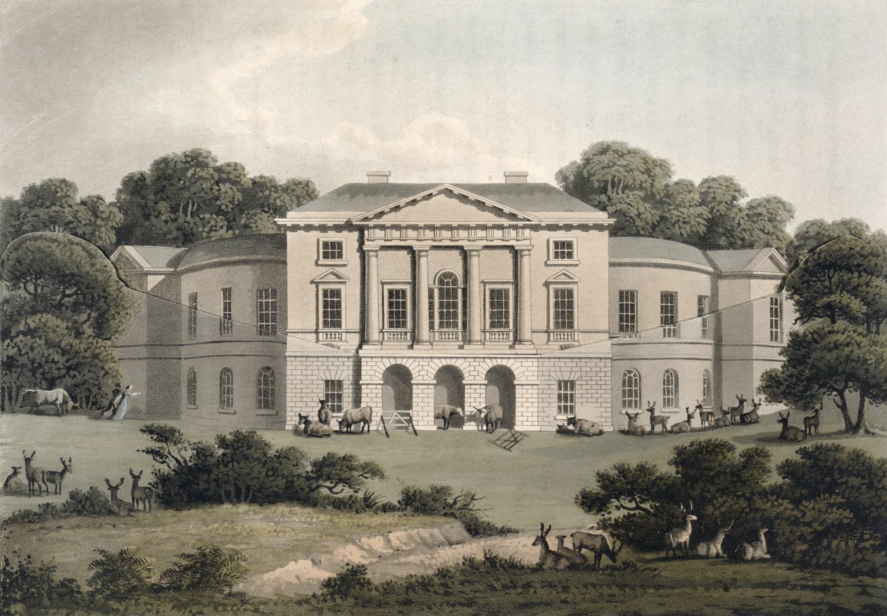 Lorda Sidmoutha, v Richmond Parku, z „Fragmenty o teorii a praxi krajinného zahradnictví“, publikované v roce 1816 (akvatinta) (viz také 209651) od Humphry Repton