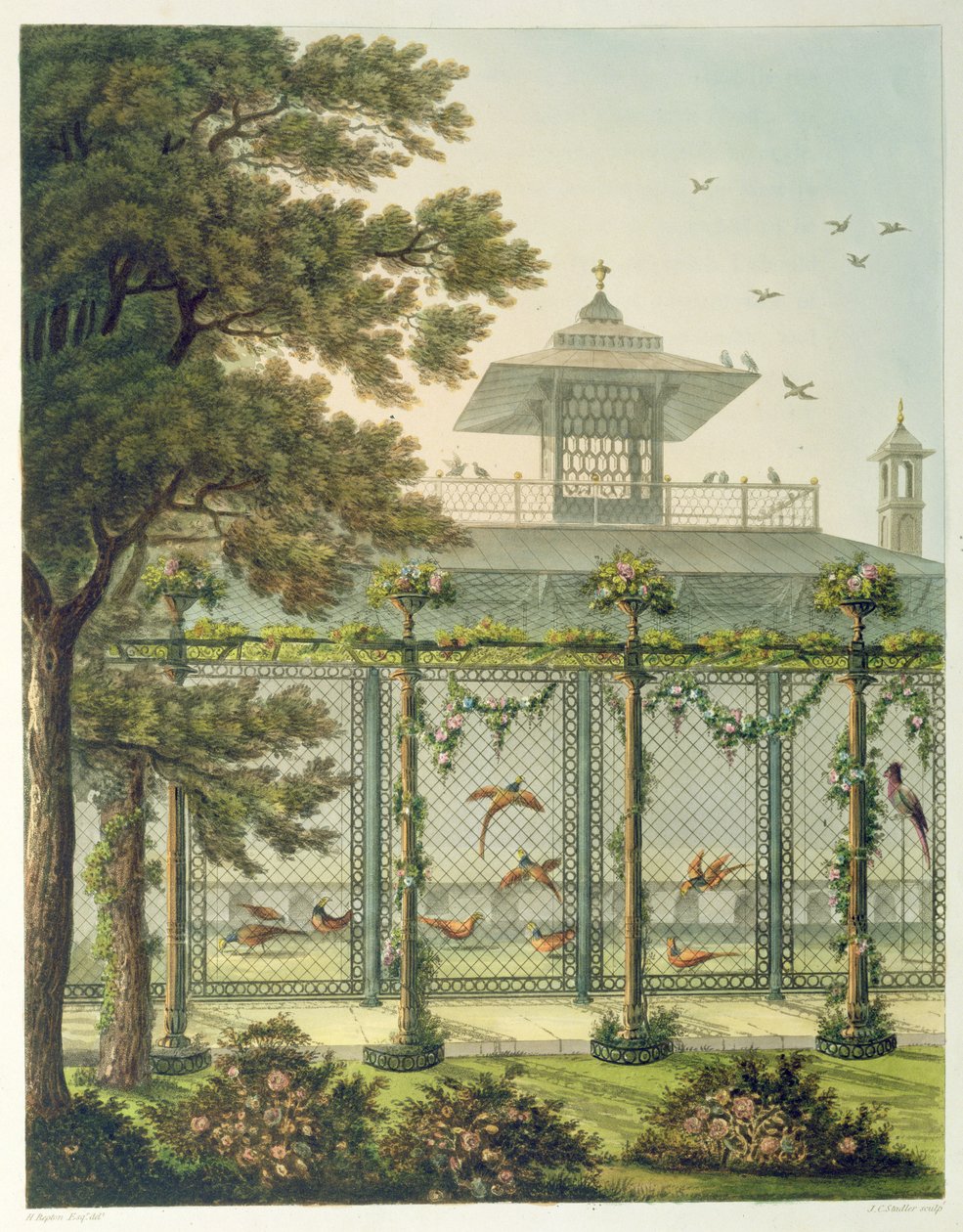 Bažantnice, rytina Josepha Constantina Stadlera (fl.1780-1812) z knihy "Návrhy na pavilon v Brightonu", pub. 1808 od Humphry Repton