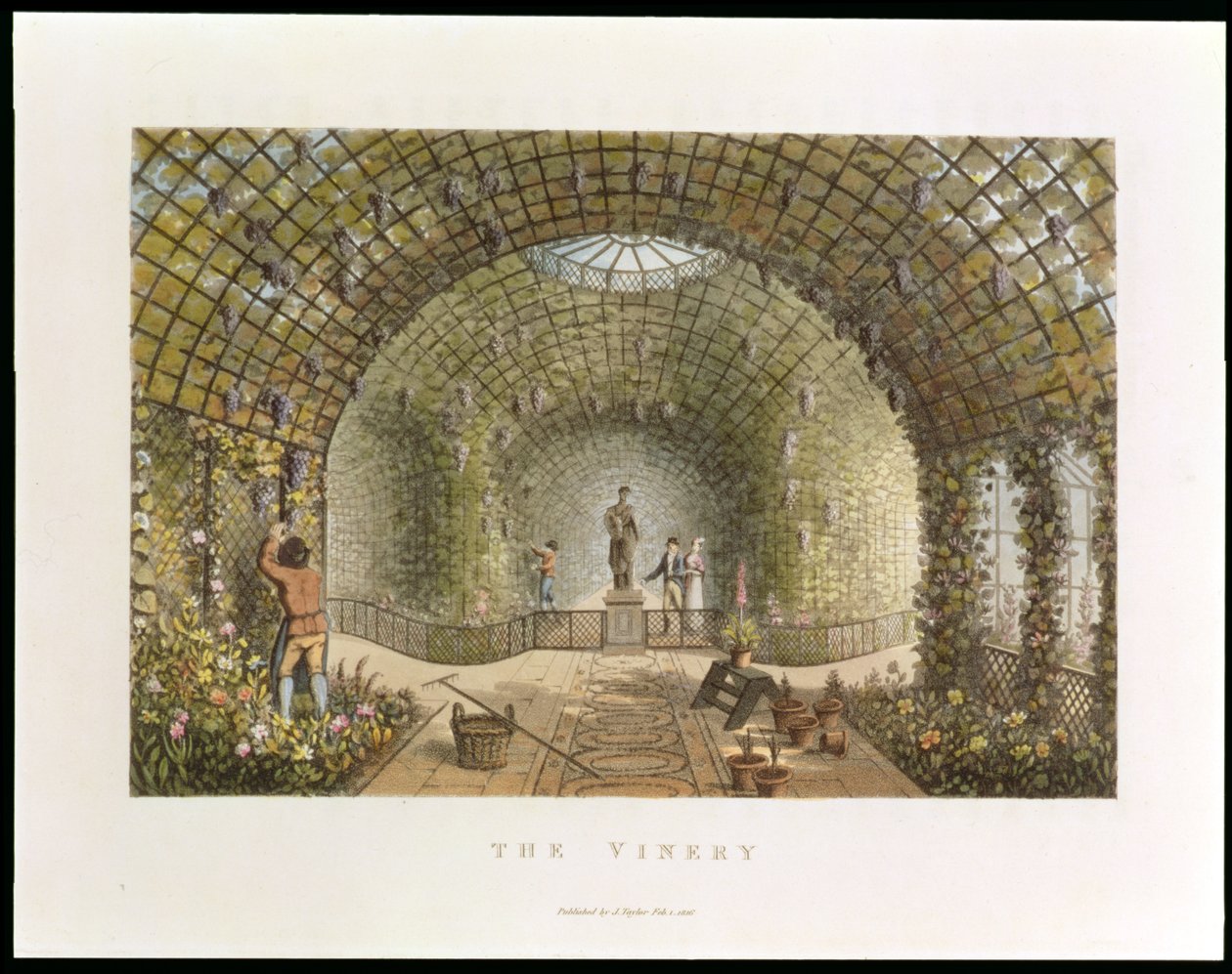 Vinice, z knihy "Fragmenty o teorii a praxi zahradní architektury", vyd. 1816 od Humphry Repton