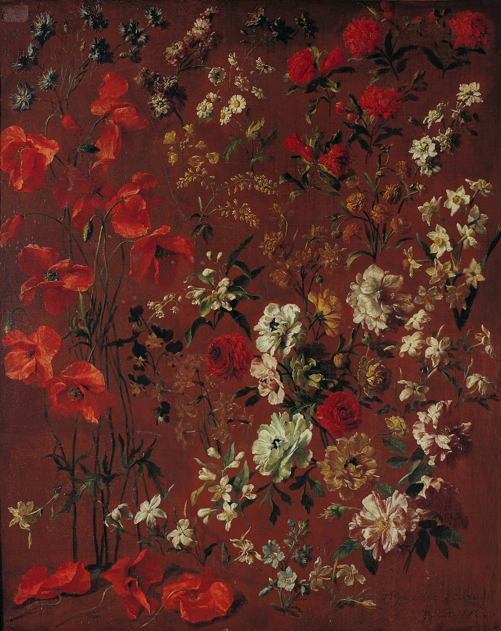 Studie květin, 1720 od Hyacinthe Francois Rigaud