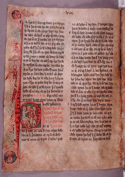 Historizovaná iniciála "P" na začátku oddílu o zlodějích, ze "Skarosboku" ("Skardovy knihy"), cca 1350 (pergamen) od Icelandic School