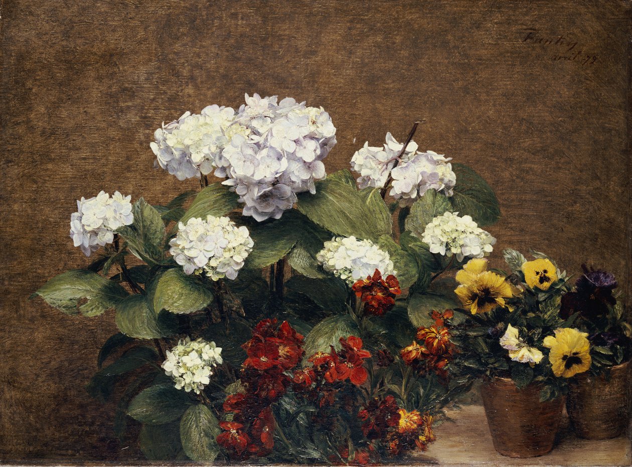 Hortensie a zásoby se dvěma hrnci macešek, 1879 od Ignace Henri Jean Fantin Latour