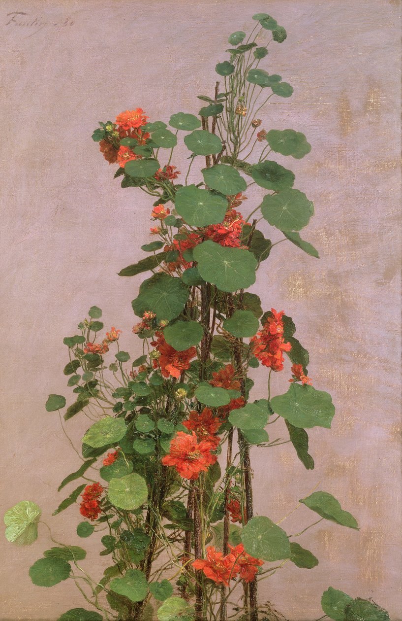Nasturtiums, 1880 od Ignace Henri Jean Fantin Latour