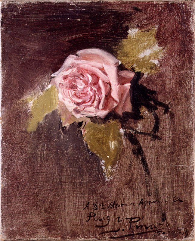 Růže od Ignacio Pinazo Camarlench