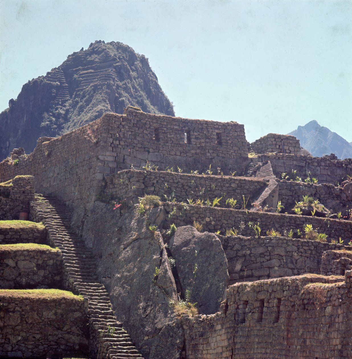 Ruiny terasových budov citadely na Machu Picchu od Incan