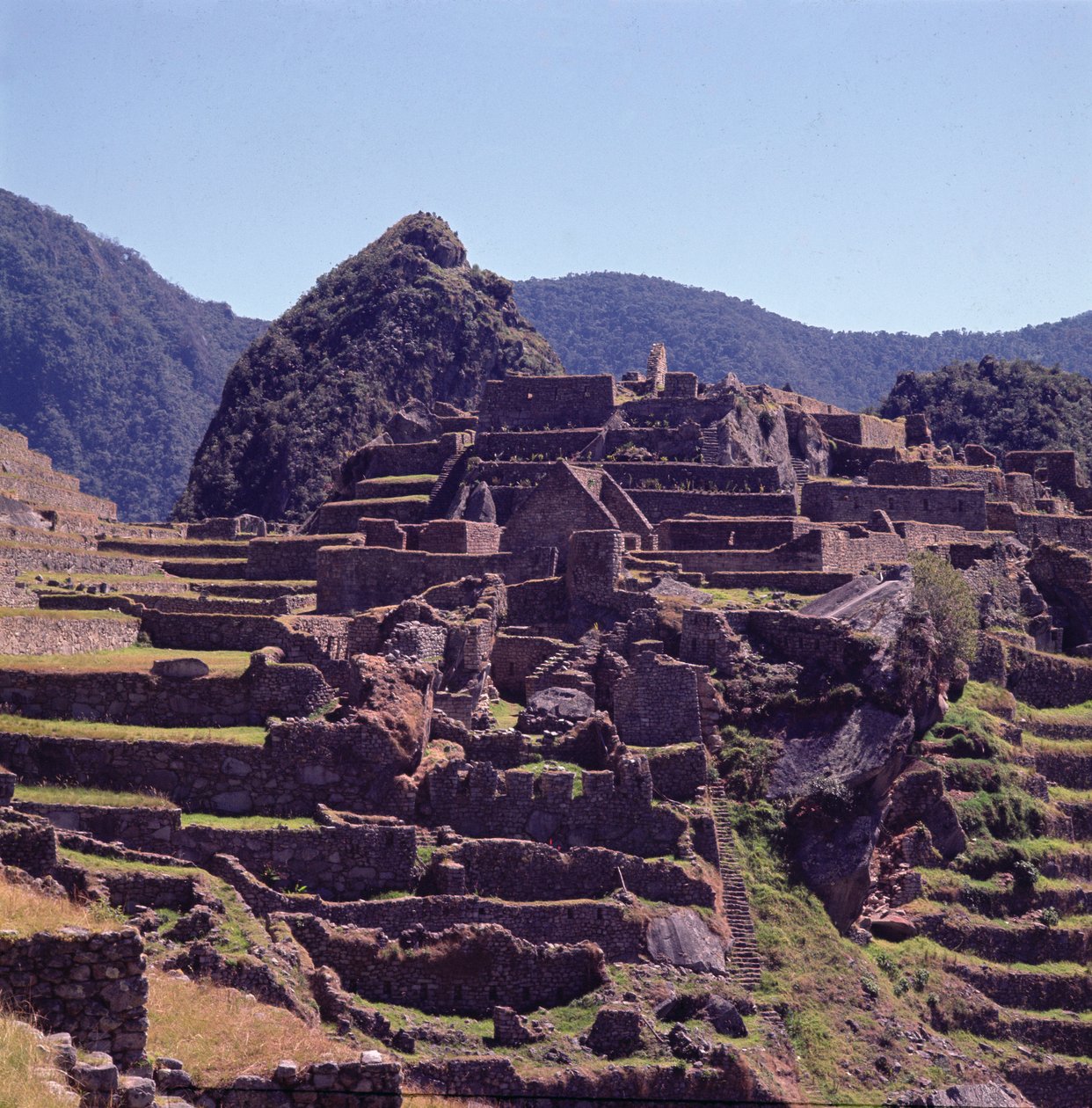 Terasové stavby citadely na Machu Picchu od Incan