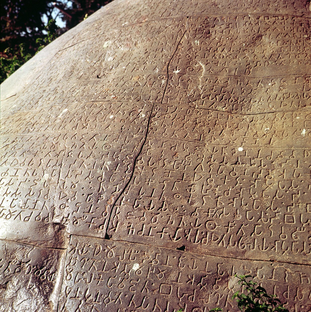 Kopie kamene císaře Ashoky (asi 264-223 př. n. l.) (detail) od Indian